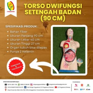 Torso Dwifungsi Setengah Badan (90cm)