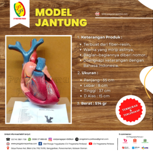 Jantung