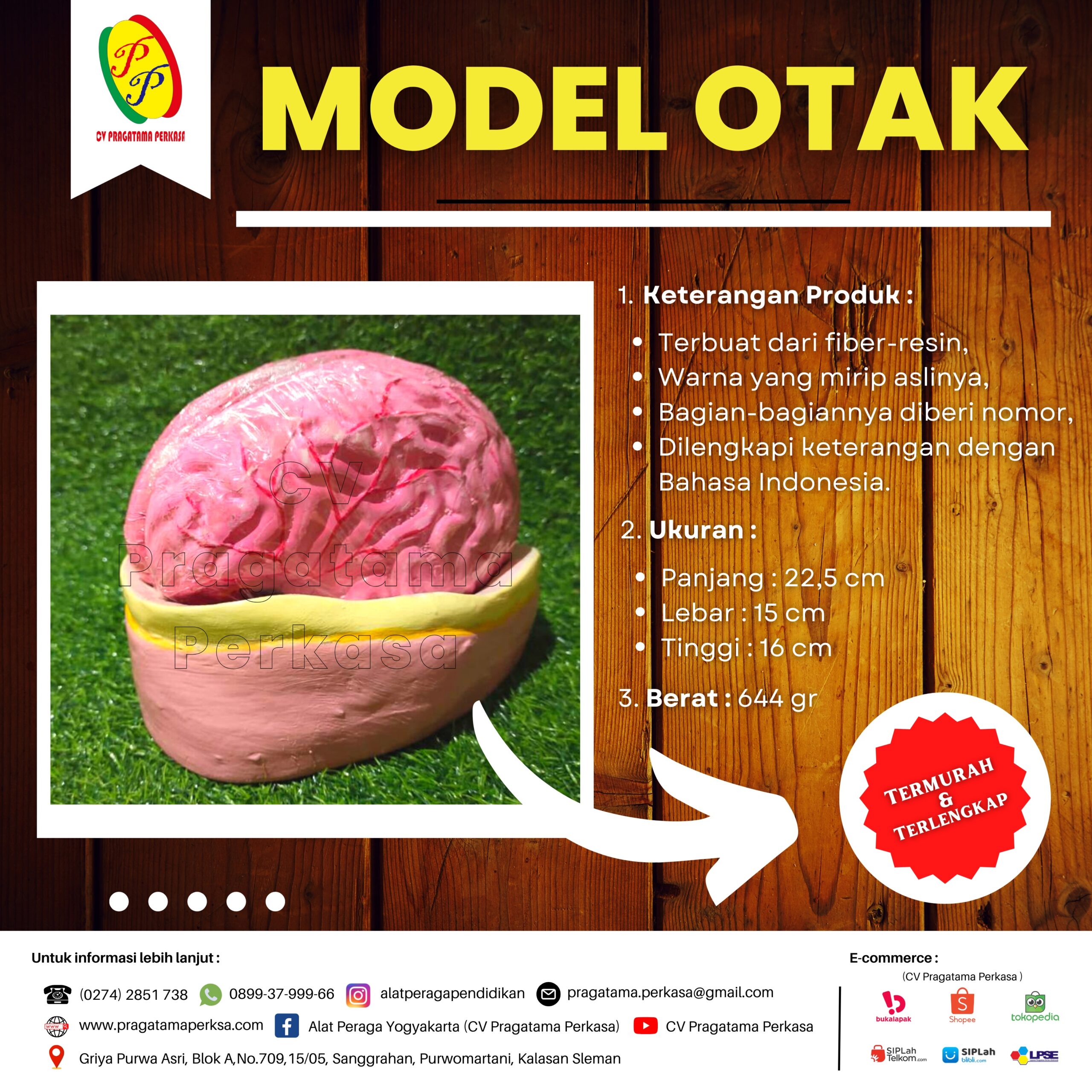 Model Miniatur Otak Manusia